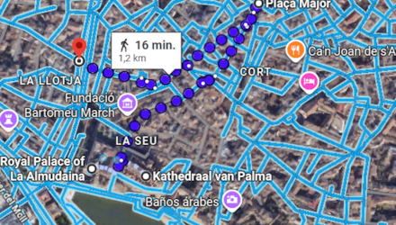 PALMA DE MALLORCA WANDELING